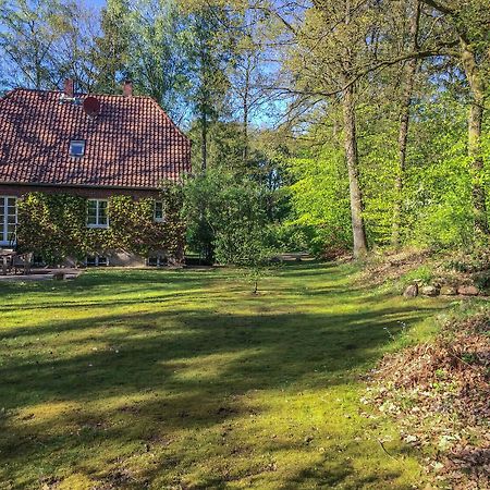 Forsthaus - Gut Thansen Soderstorf エクステリア 写真