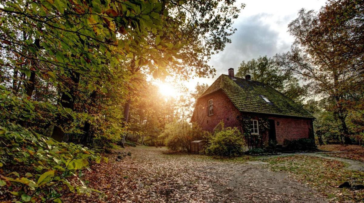Forsthaus - Gut Thansen Soderstorf エクステリア 写真